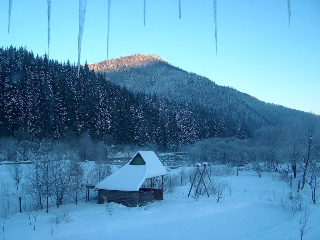 Sadyba Lesivykh Hotel Slavske Exterior photo