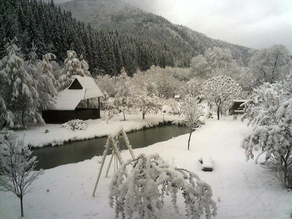 Sadyba Lesivykh Hotel Slavske Exterior photo